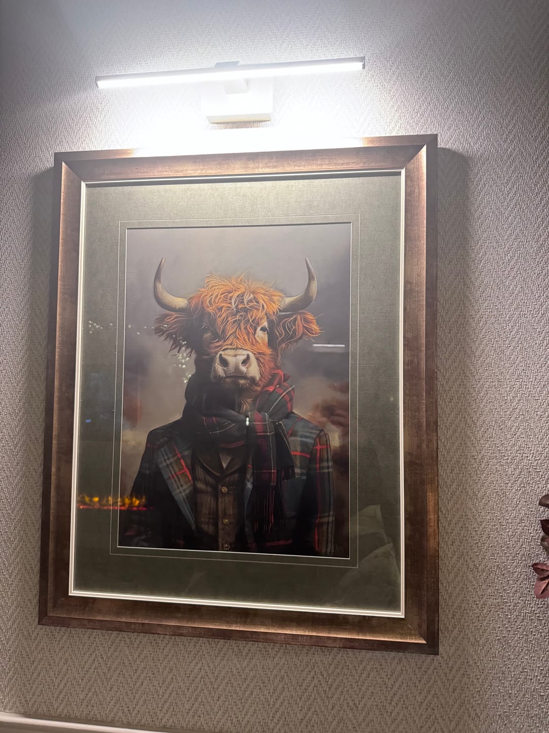 Customer photo review of Dapper Highlander By Faye Reynolds-Lydon IN STOCK