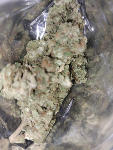 Customer photo review of Grapes & Cream THCA Flower