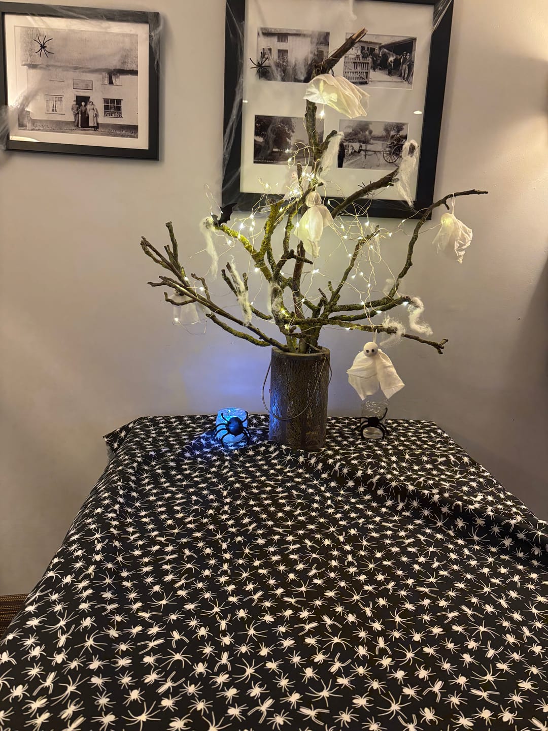 Customer photo review of All Over Spiders Polycotton Fabric