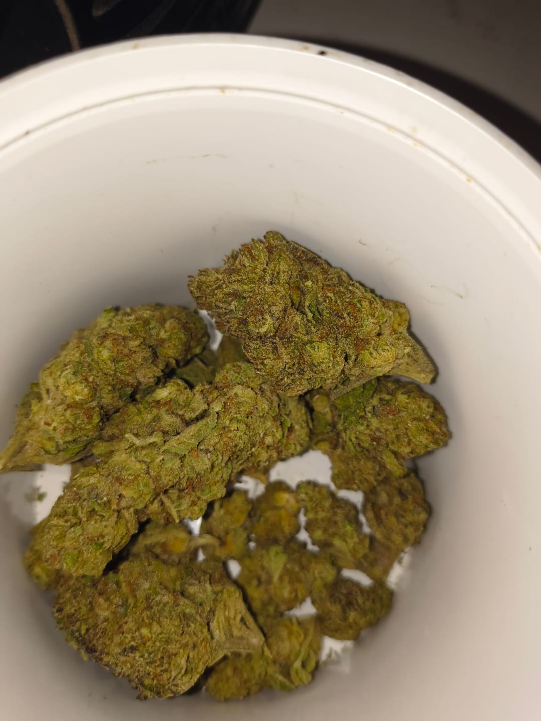 Customer photo review of Gush Mintz Light Assist THCA