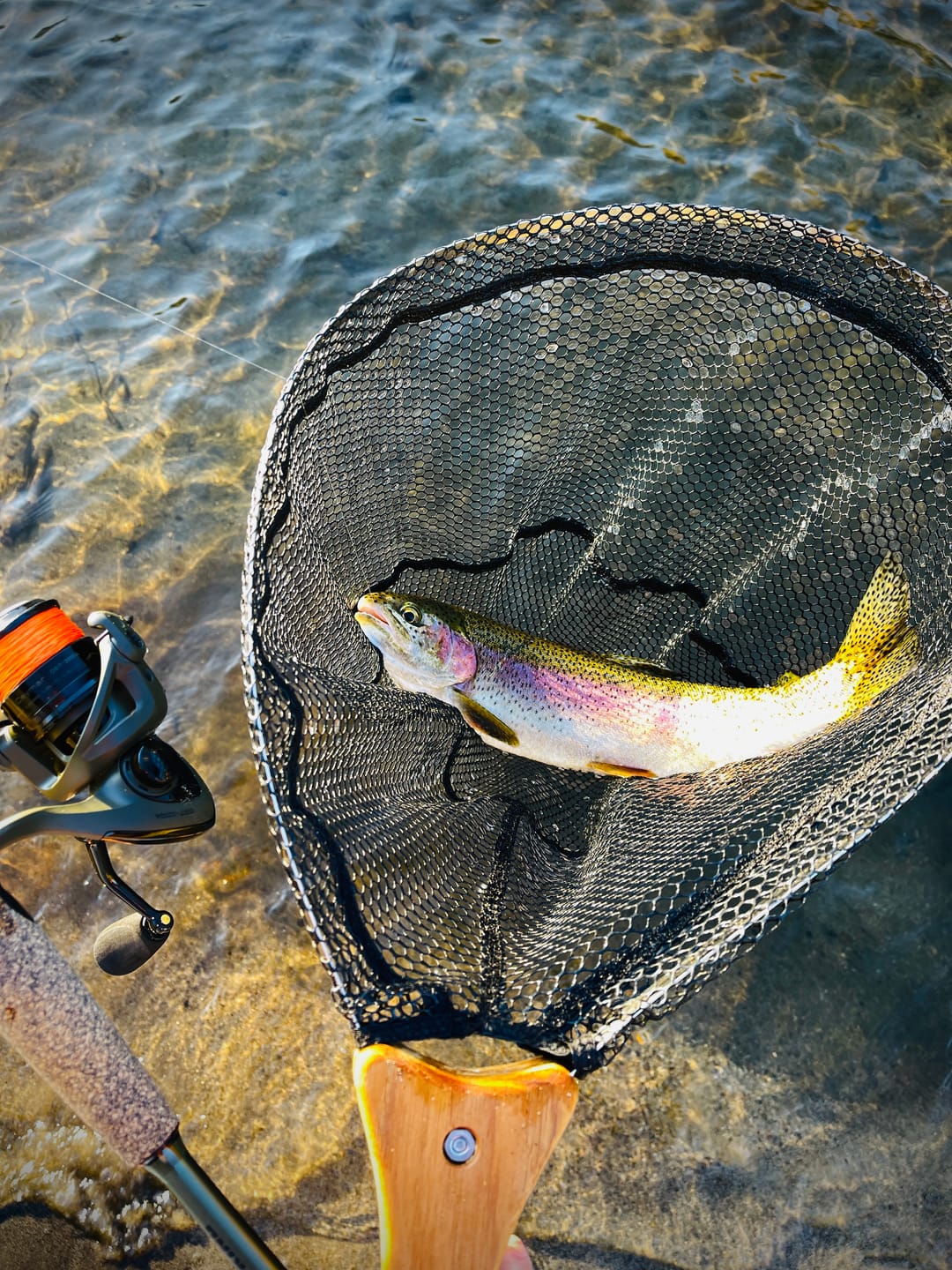 Customer photo review of Collapsible Insta-Net