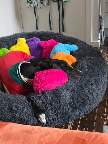 Customer photo review of GIANT Super Plush Donut Bed