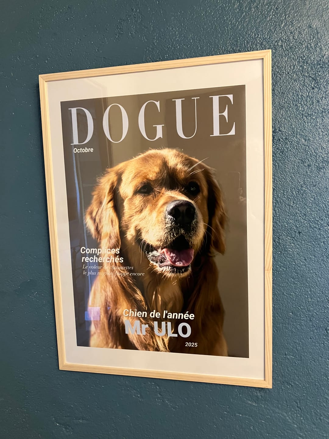 Customer photo review of Dogue - Poster personnalisé