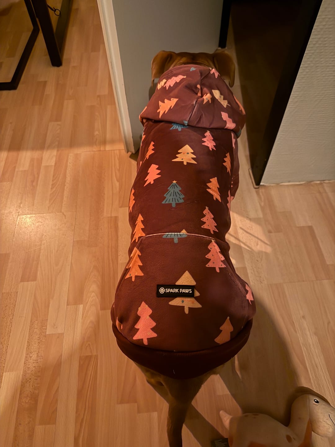 Customer photo review of Christmas Dog Hoodie - Candy Trees