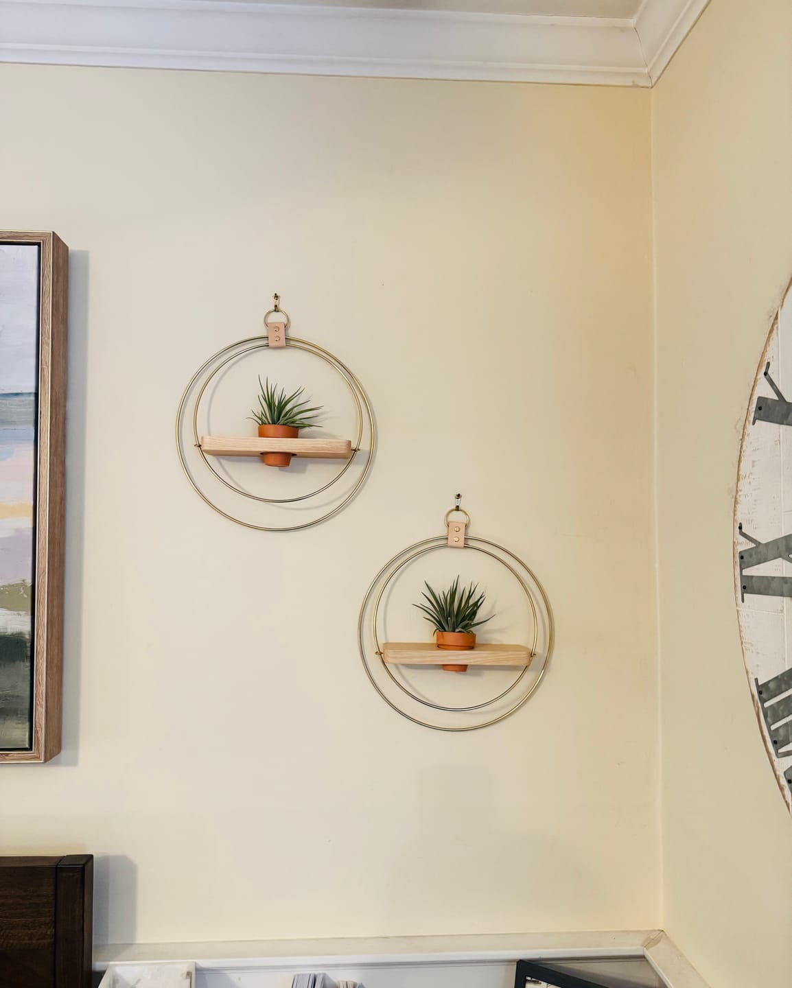 Customer photo review of Air Plant Shelf + Pot Duo