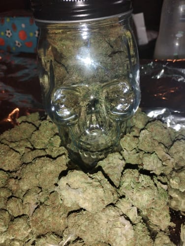 Customer photo review of Pineapple Express THCA Flower
