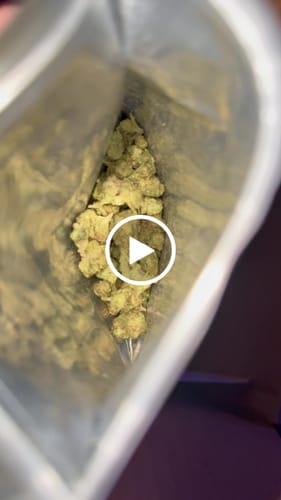 Customer video review of Greenhouse Smalls