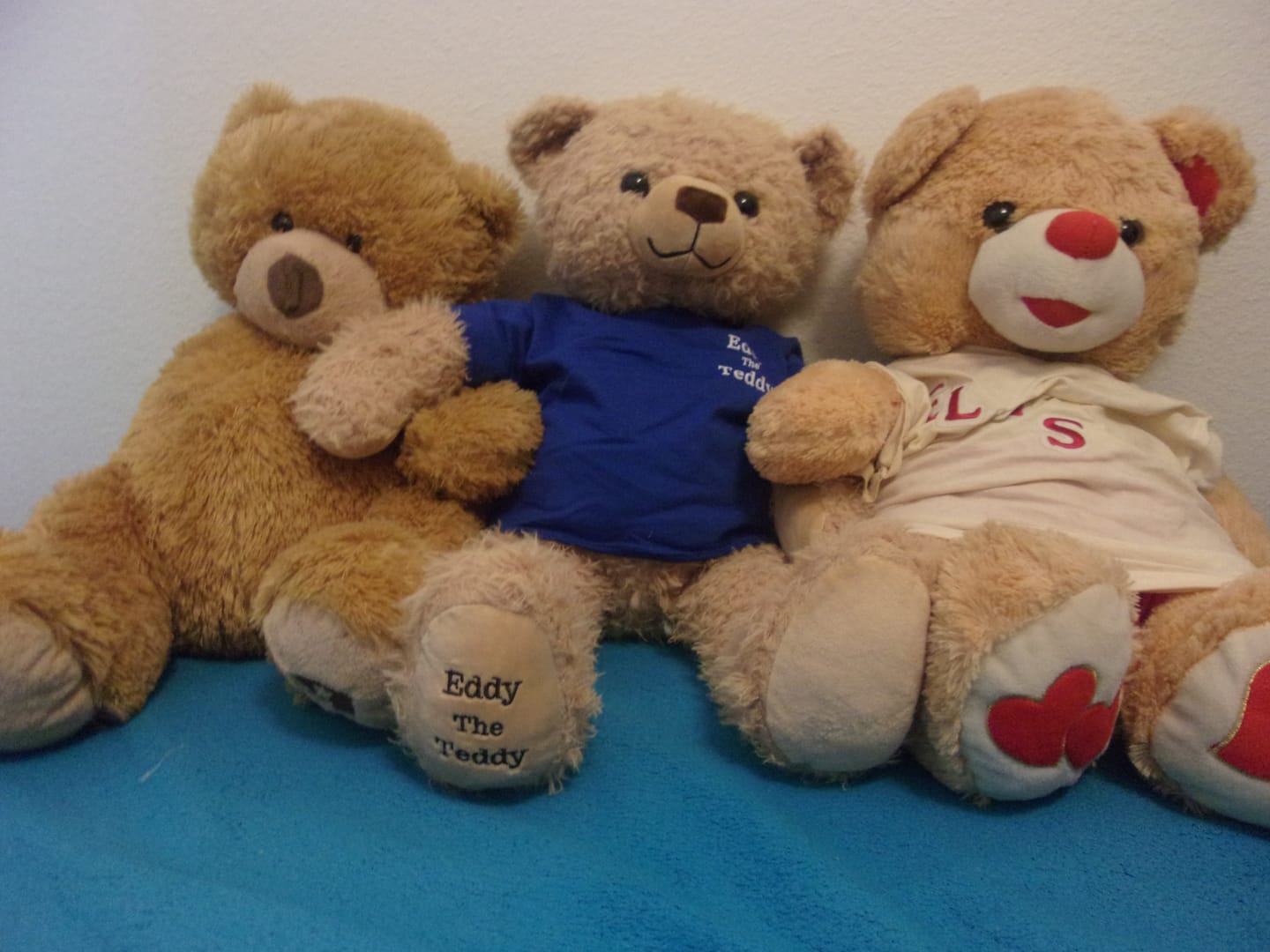 Customer photo review of 65cm Original Eddy the Teddy