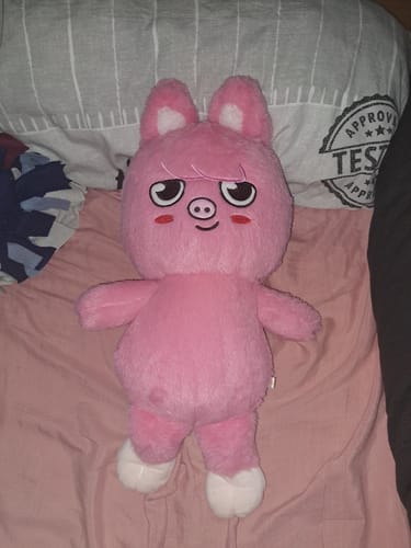 Customer photo review of SKZ Teddybear Plush
