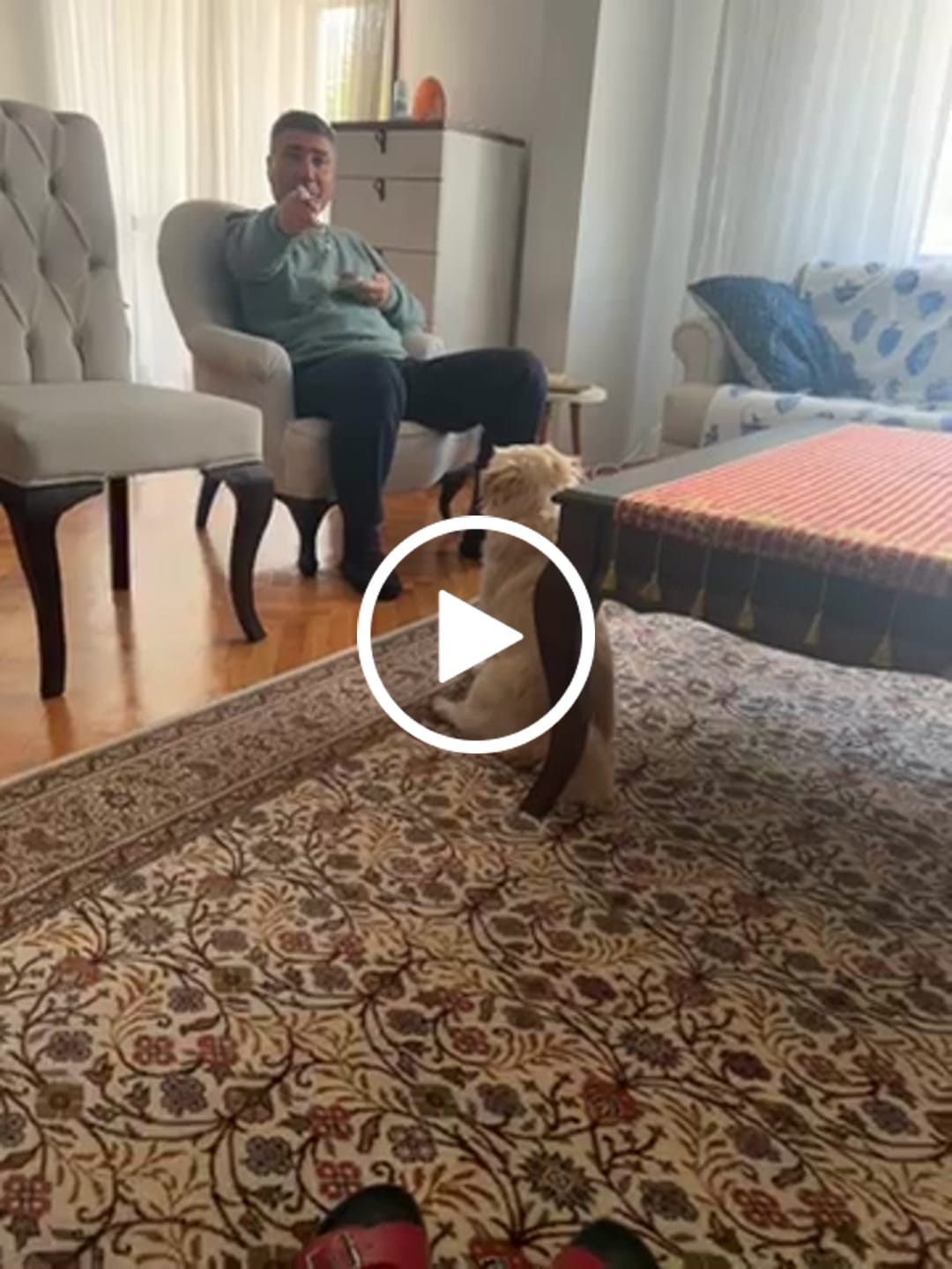 Customer video review of Çiğneme Topu