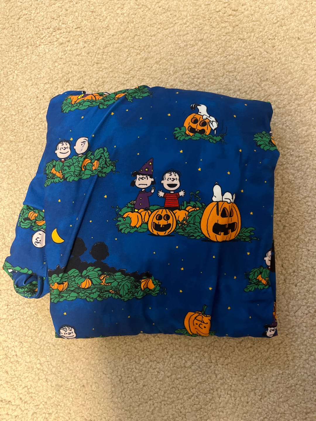 Customer photo review of Peanuts "It's the Great Pumpkin!" – Performance Hoodie