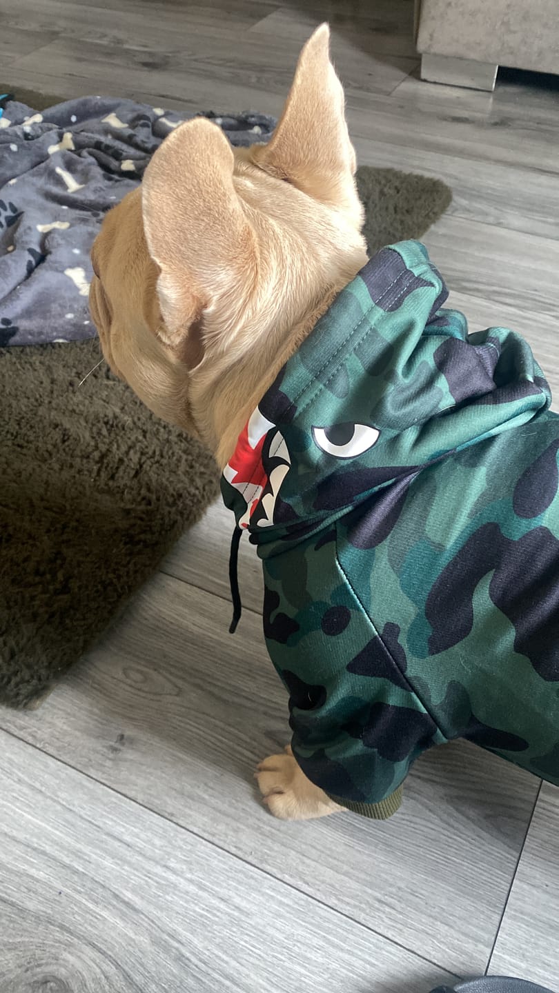 Customer photo review of Shark Monster Dog Hoodie - Green Camo