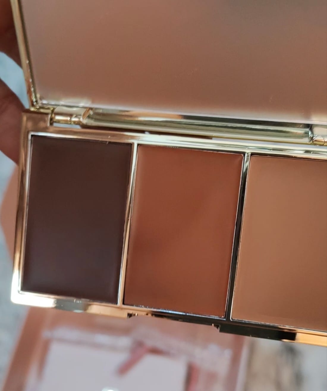 Customer photo review of P. Louise Love Letters Blush & Bronzer Bundle