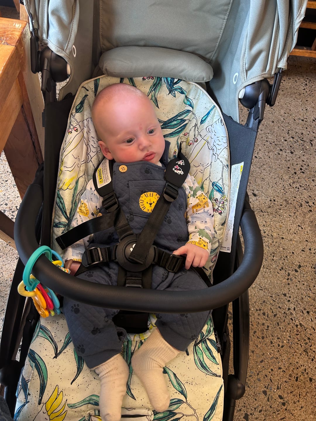 Customer photo review of Universal Pram Liner Cover - Cockatoo