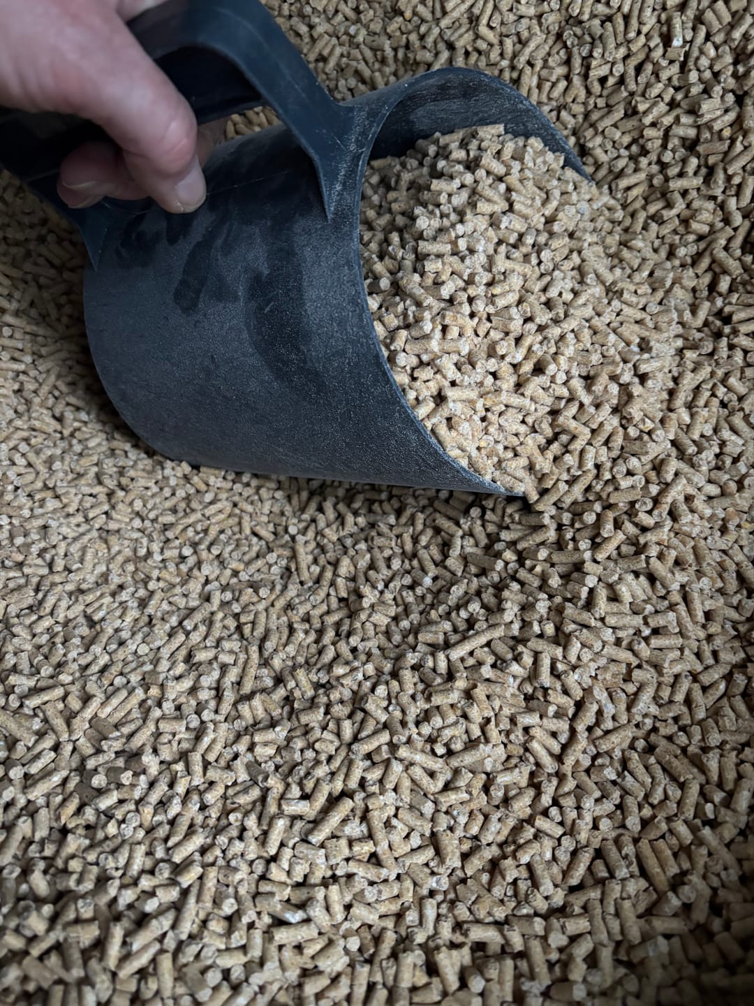 Customer photo review of Plastic Black Feed Scoop 1.5 Litres