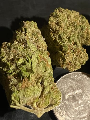 Customer photo review of Cheap THCA Flower Ounce