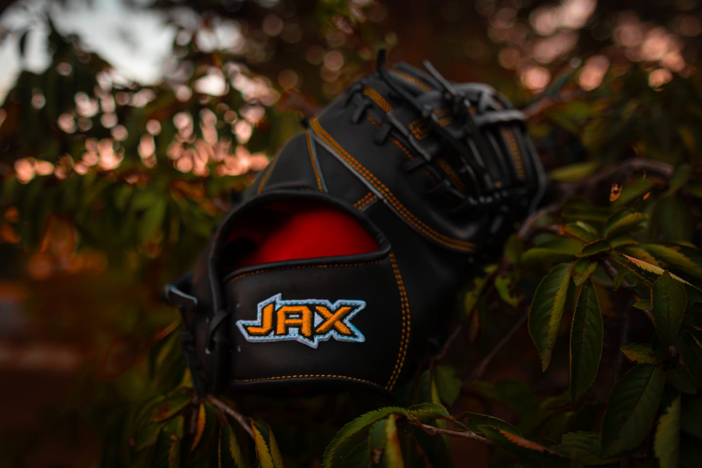 Customer photo review of Jax Fielding Glove | PL-4 | First Base | Black | 13"