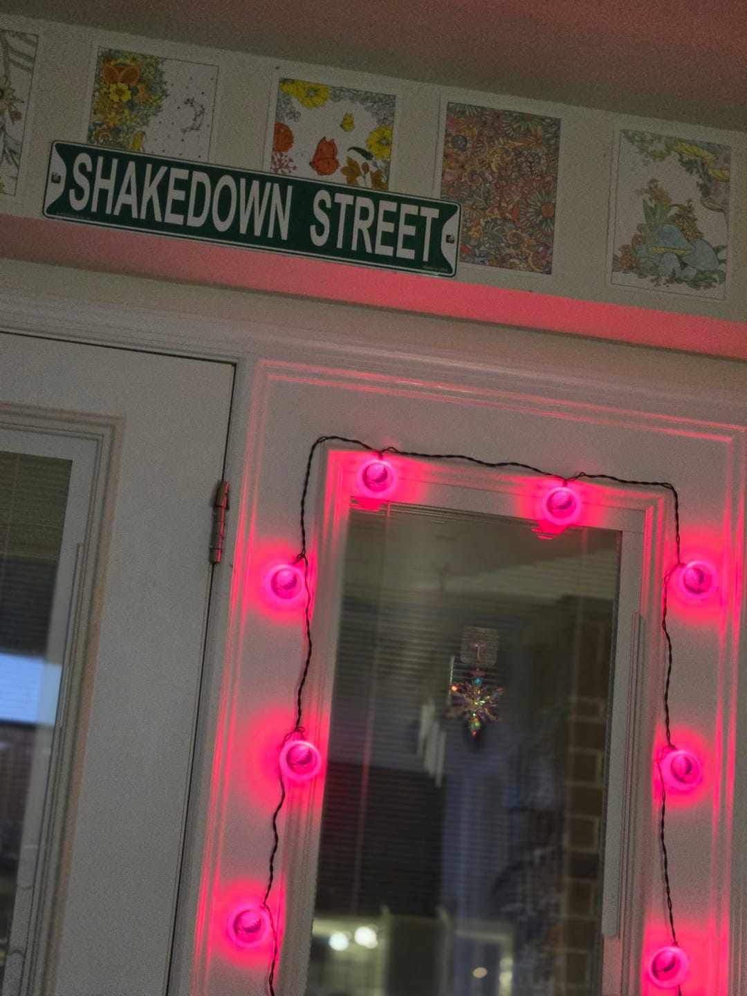 Customer photo review of Grateful Dead Shakedown Street Sign