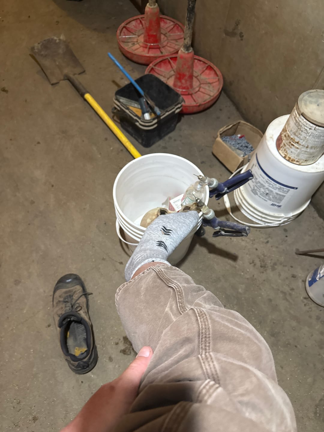 Customer photo review of Crew Socks 8 Pairs