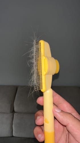 Customer photo review of FellFix™ Pro - Tierhaarbürste