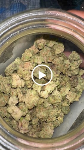 Customer video review of Exotic Smalls