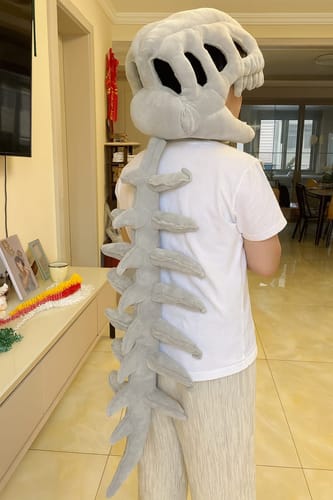 Customer photo review of DinoFluff