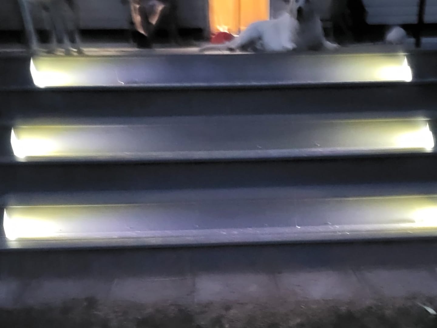 Customer photo review of SolaGarden™ Step Light Pack