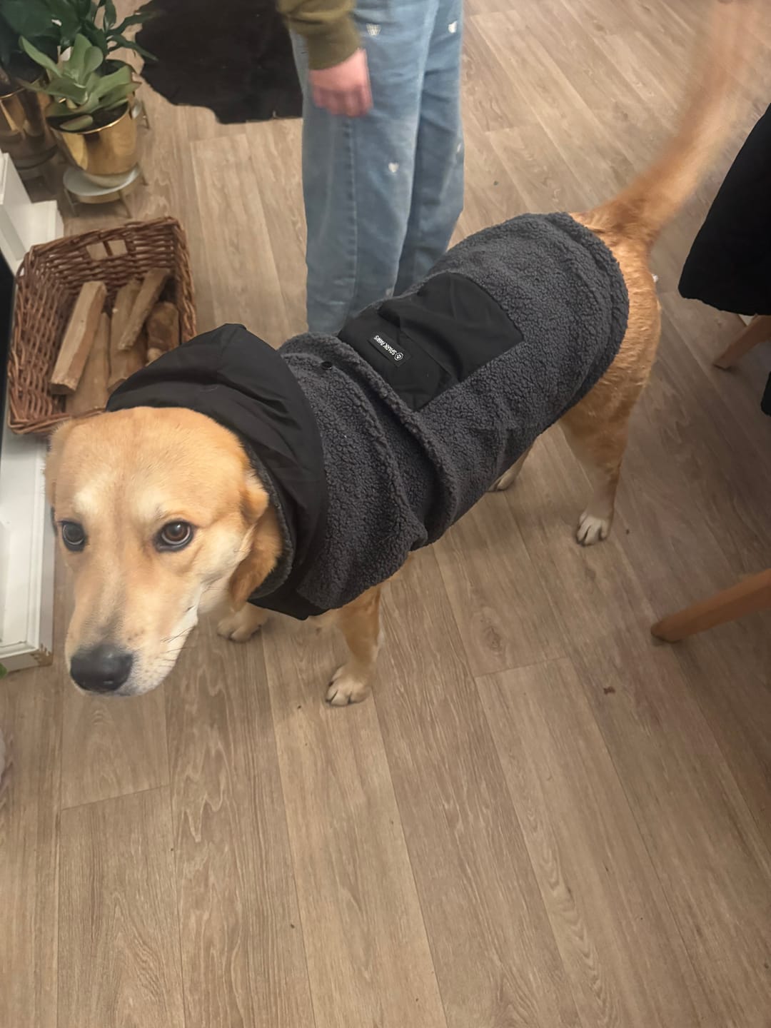 Customer photo review of Reversible Sherpa Jacket - Grey and Black