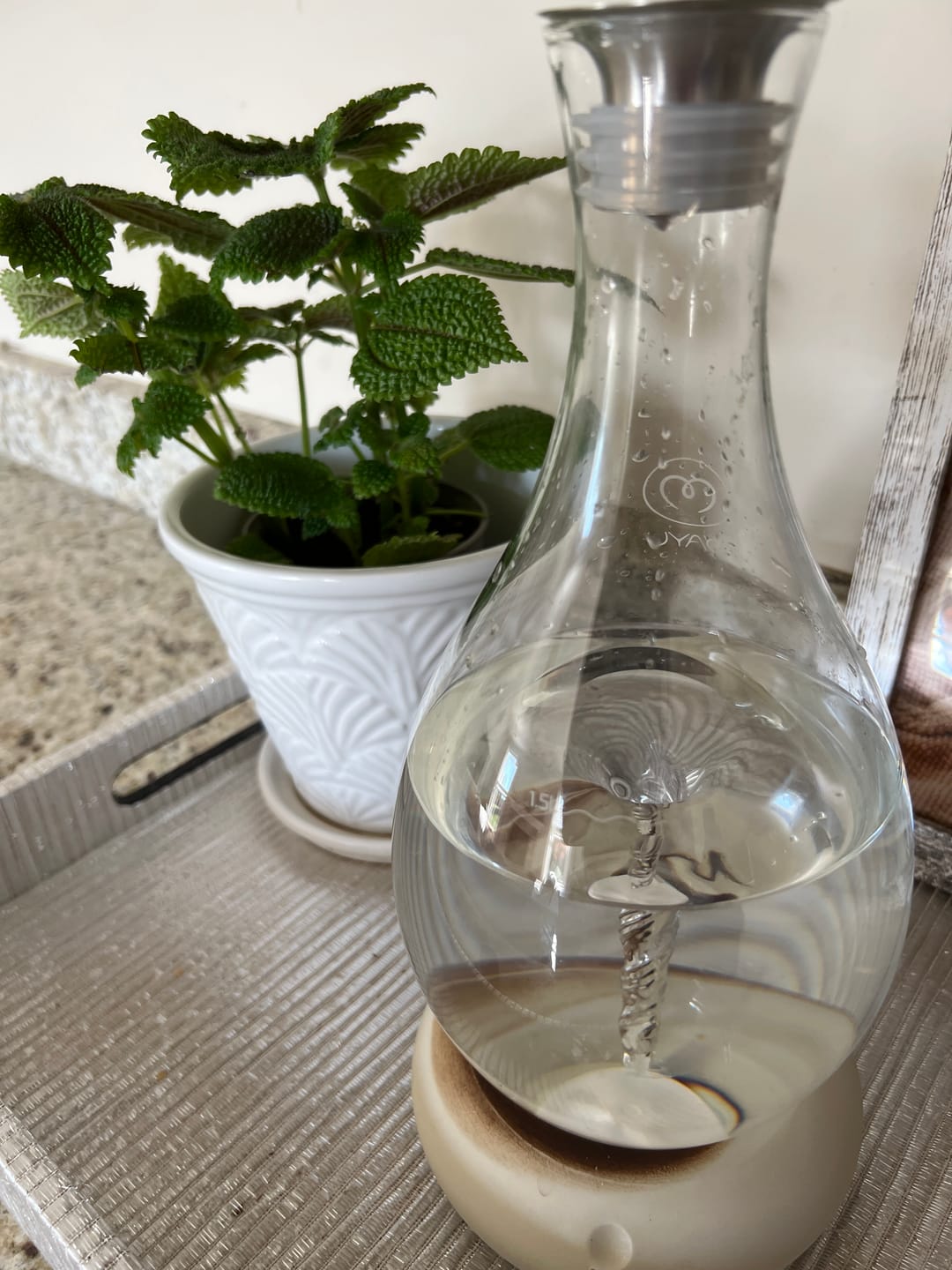 Customer photo review of Swirl Structured Water Carafe