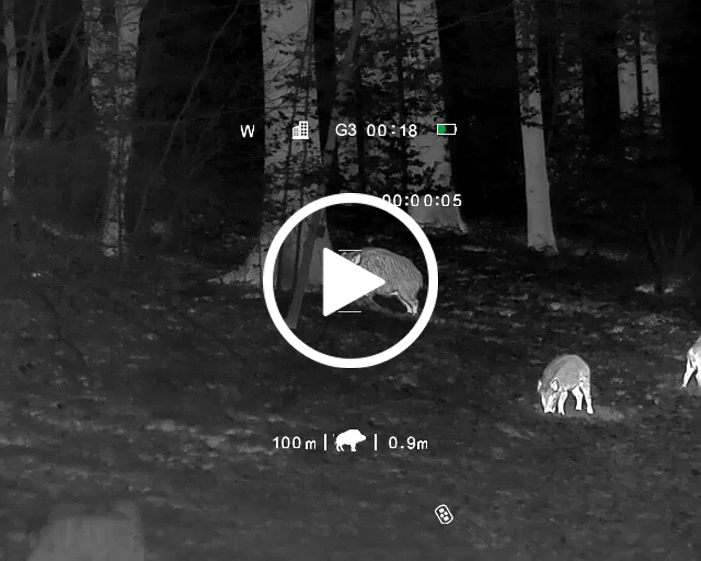 Customer video review of Teer-Plus Wildlockmittel - Schwarzwild