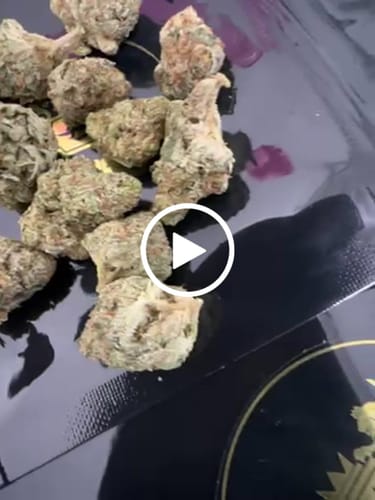 Customer video review of Starter Bundle