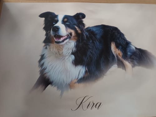 Customer photo review of Öl Pawtrait