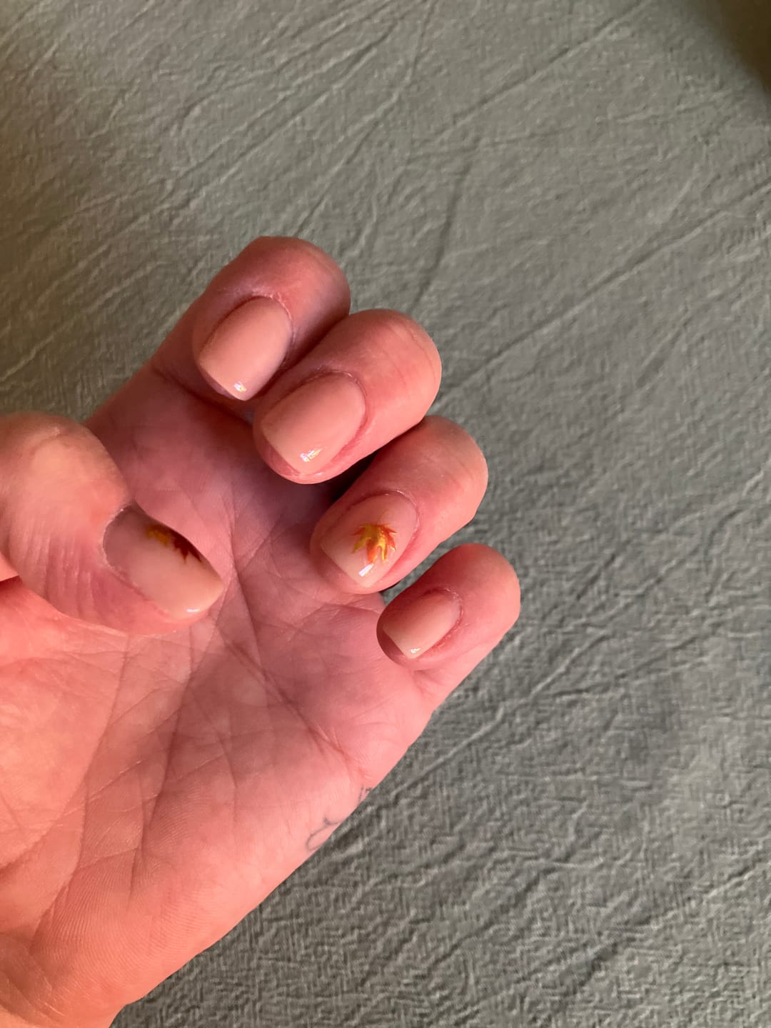 Customer photo review of Base Coat