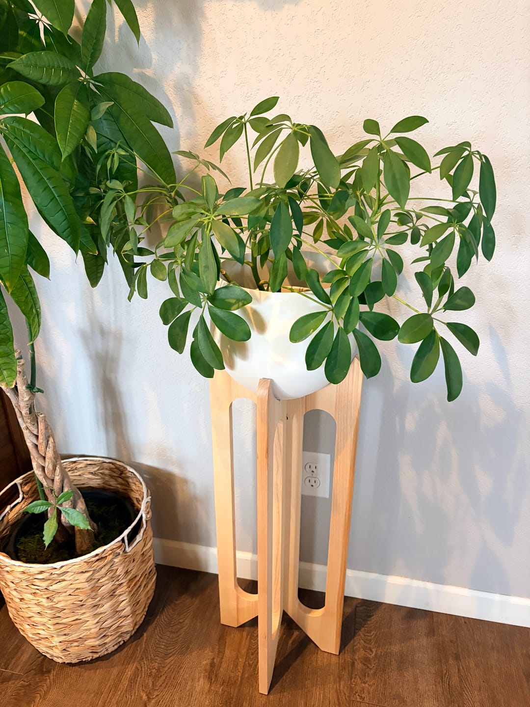 Customer photo review of Arches Plant Stand + Pot