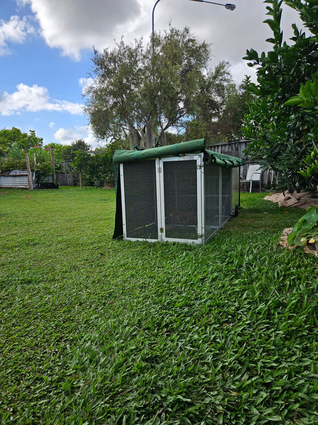 Customer photo review of Canvas Cover for Chicken Coop / Chicken Tractor