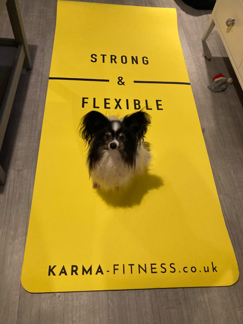 Customer photo review of Large Exercise Mat - Extra Wide & Thick Yoga Mat