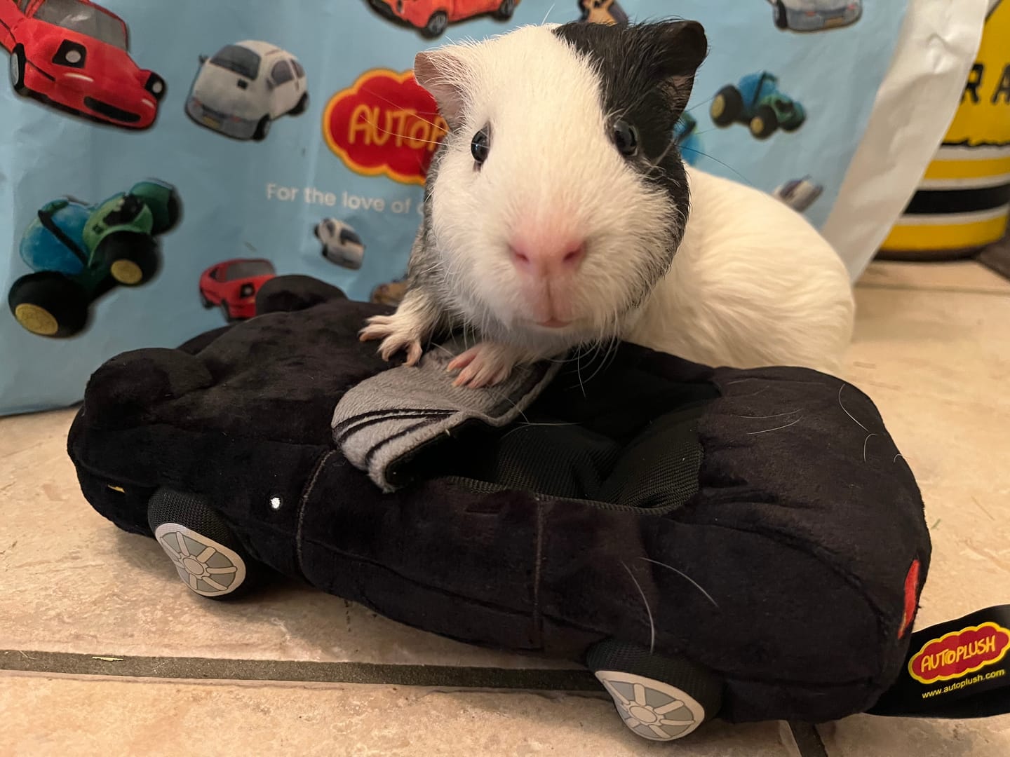 Customer photo review of Miata MX5 Plushie