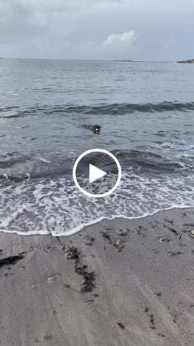 Customer video review of Moon Ball (Rainbow) | Waboba