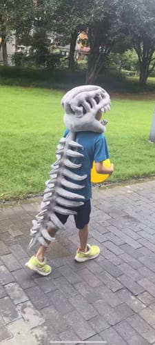 Customer photo review of DinoFluff