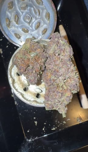 Customer photo review of Granddaddy Purple - 14 Grams - Indica