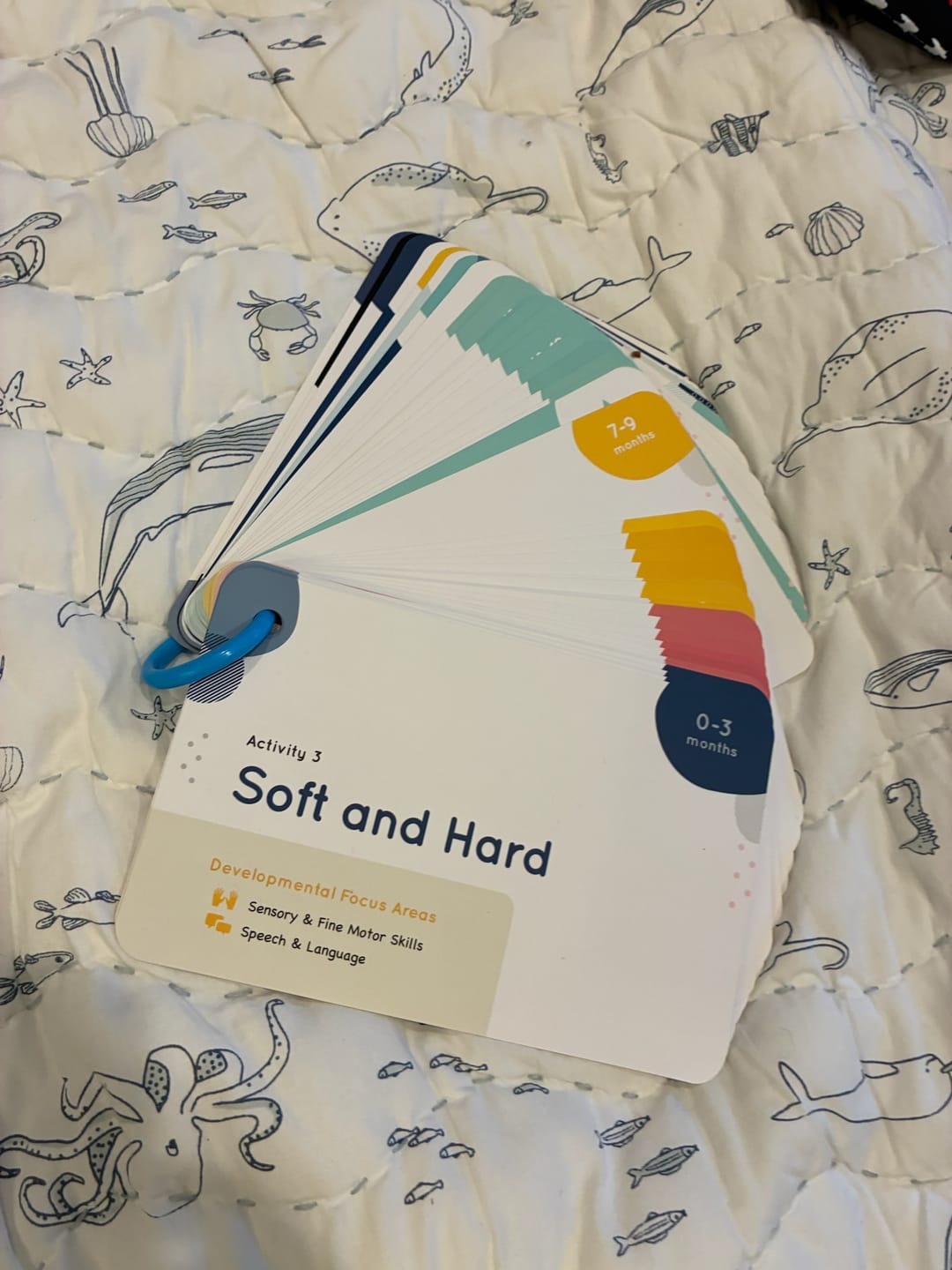 Customer photo review of Curious Baby™ Activity Cards