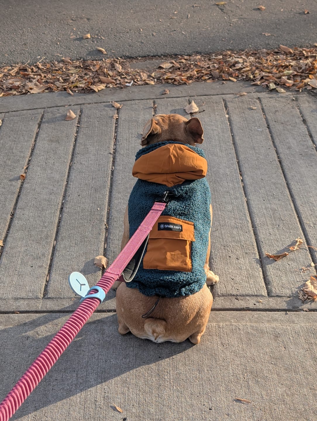 Customer photo review of Reversible Jacket - Green and Orange