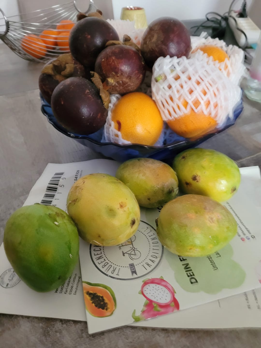 Customer photo review of Baby Mango Tropigold von Antonio Sonderaktion