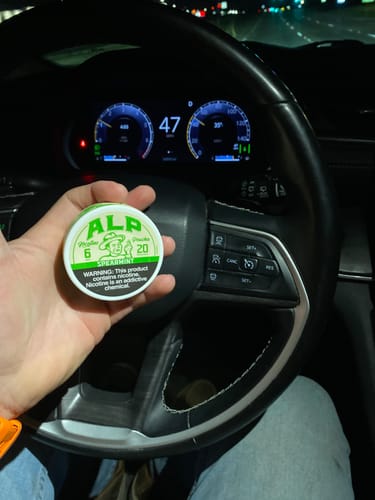 Dean D. review of Spearmint Nicotine Pouches image 1 out of 1