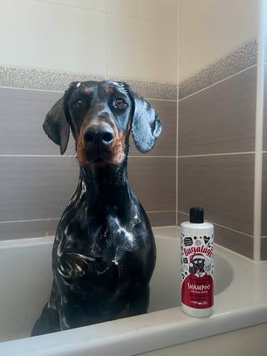 Customer photo review of Christmas Edition: Roasted Chestnut & Cinnamon Shampoo