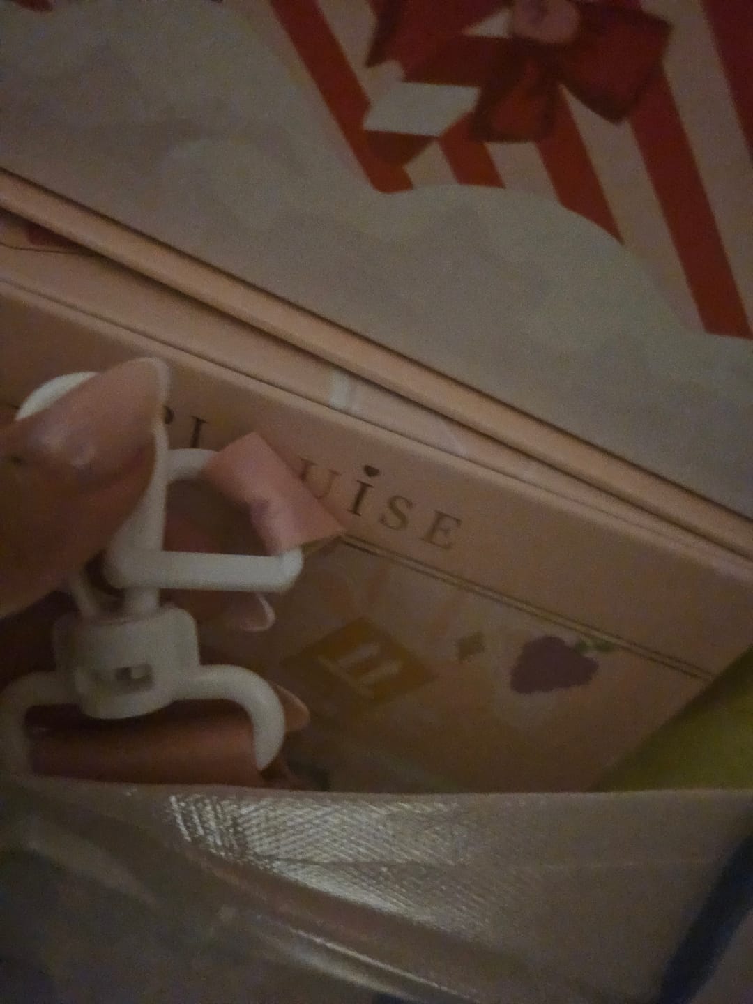 Customer photo review of P.Louise Bad Bitch Cube Box Bag Large