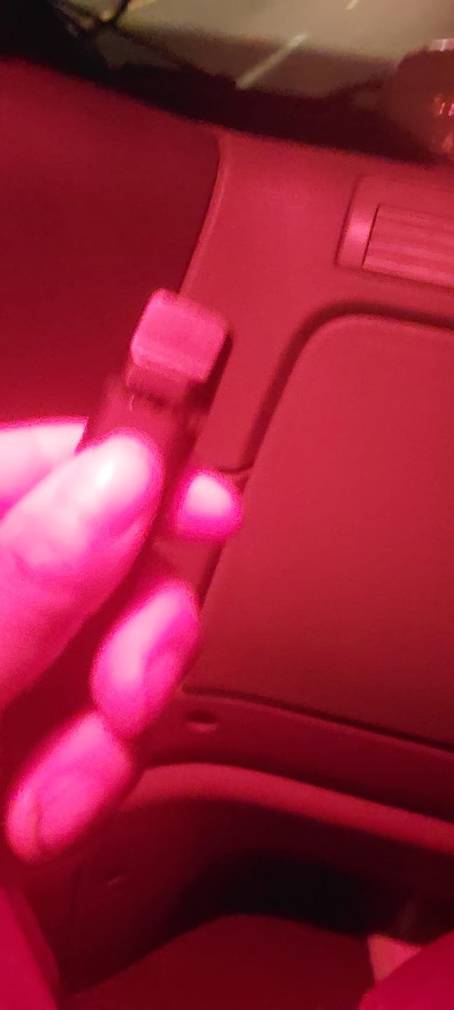 Customer photo review of 1 Gram THC-P Blend Vape Pen | Lemon Drop - Sativa