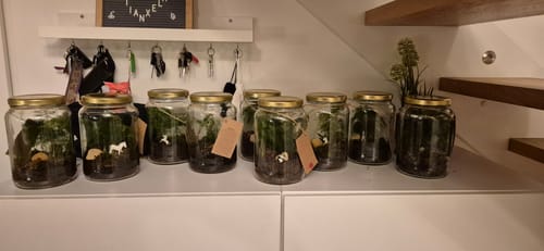 Customer photo review of Flaschengarten-Kindergeburtstags-Set