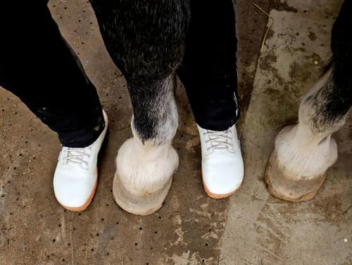 Customer photo review of Vaistoa Hurmos 2 | Casual Winter Barefoot Boots
