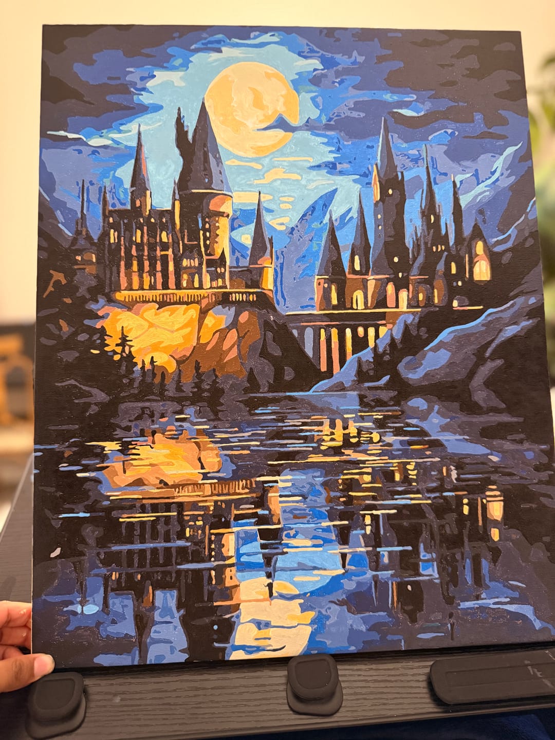 Customer photo review of Midnight Castle
